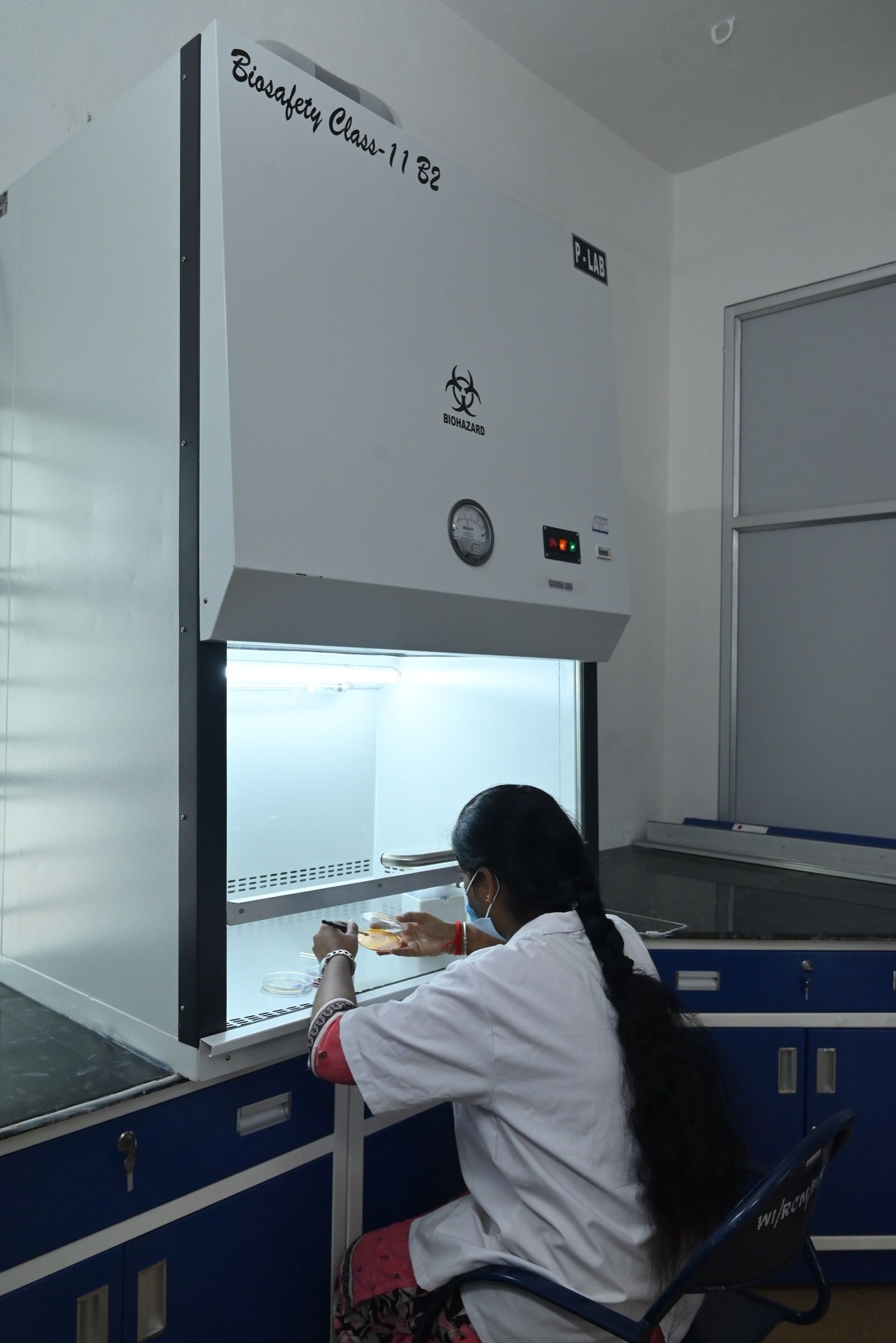 Analyst working at the Class II biosafety cabinet