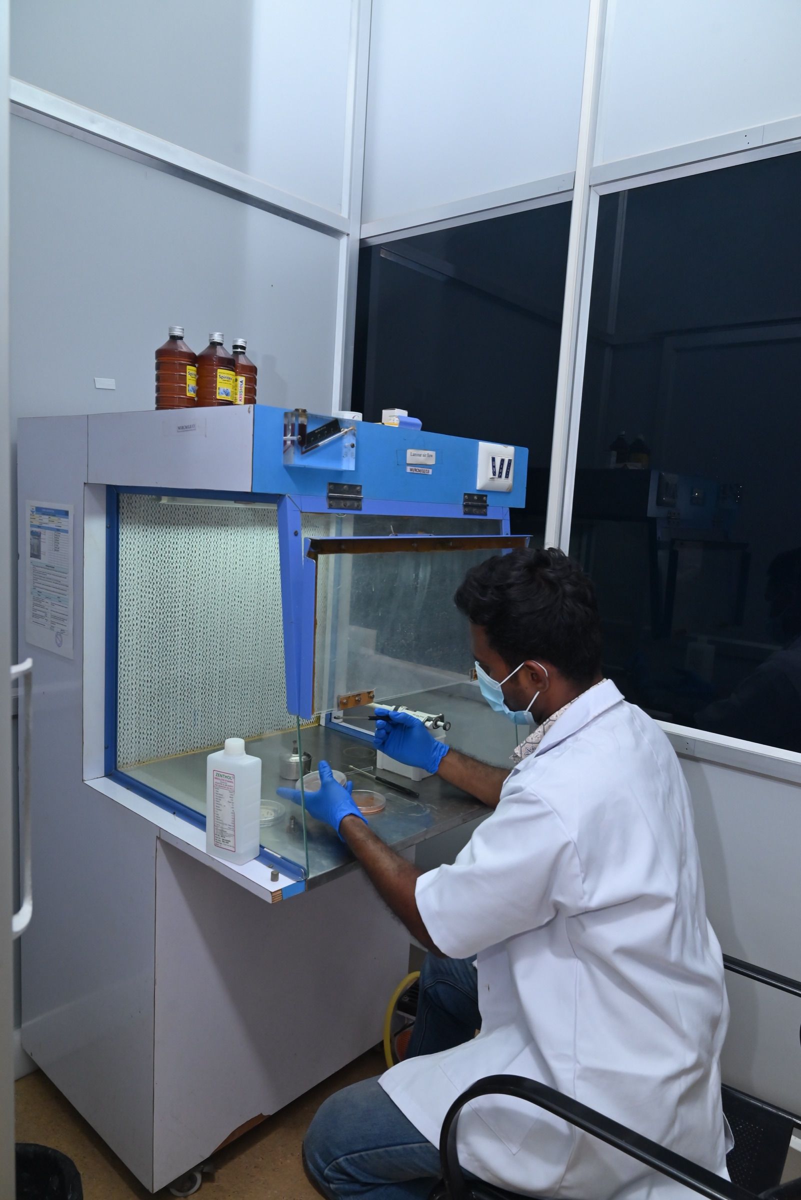 Microbiologist plating samples in the laminar flow cabinet